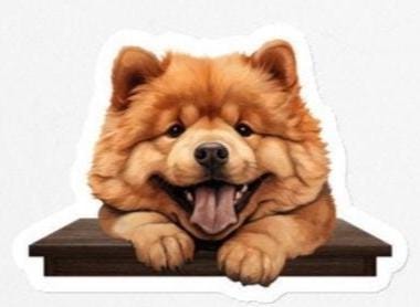 Chow Chow Magnet: Peeking Dog Breed Gift for Chow lover