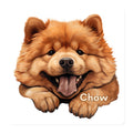 Chow Chow Magnet Chow puppy fridge magnet gift for Chow owner