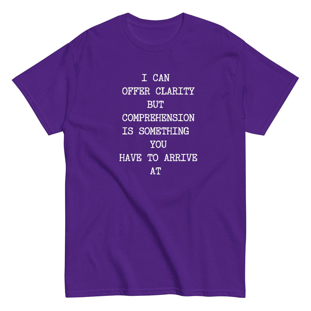 Sarcastic humor t-shirt, Text only shirt, Comprehension tee Gildan cotton Unisex classic tee