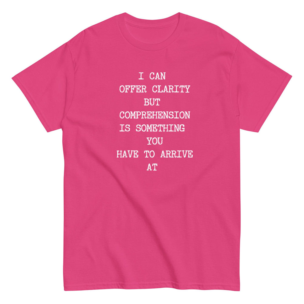 Sarcastic humor t-shirt, Text only shirt, Comprehension tee Gildan cotton Unisex classic tee