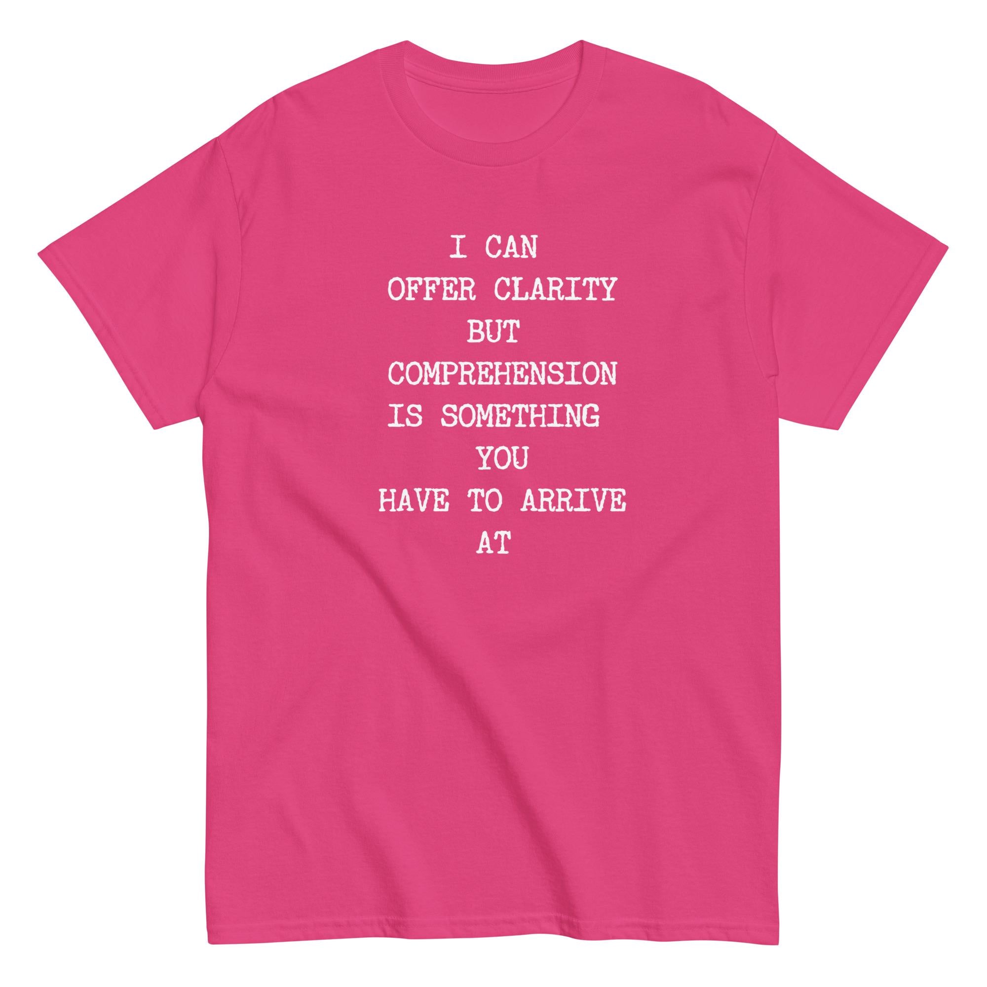 Sarcastic humor t-shirt, Text only shirt, Comprehension tee Gildan cotton Unisex classic tee