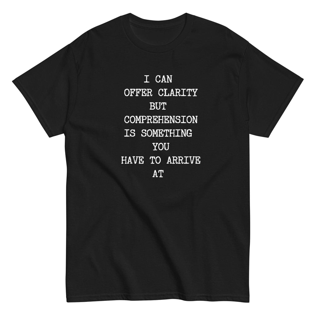 Sarcastic humor t-shirt, Text only shirt, Comprehension tee Gildan cotton Unisex classic tee