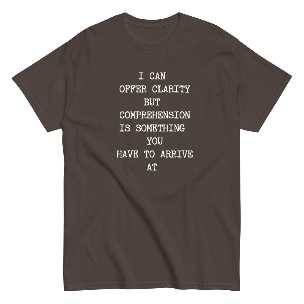 Sarcastic humor t-shirt, Text only shirt, Comprehension tee Gildan cotton Unisex classic tee