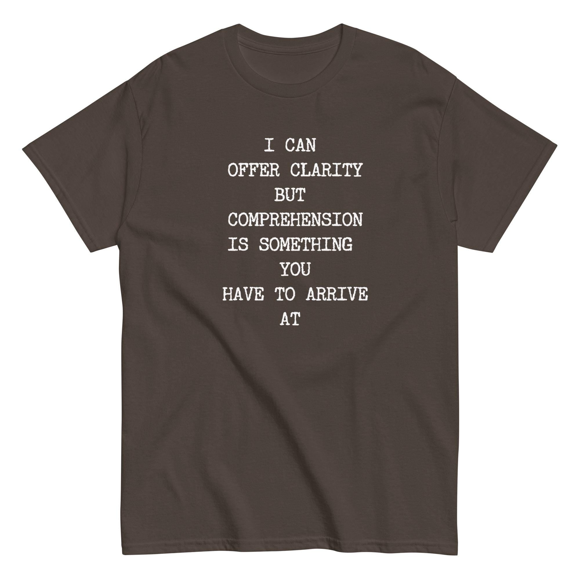 Sarcastic humor t-shirt, Text only shirt, Comprehension tee Gildan cotton Unisex classic tee